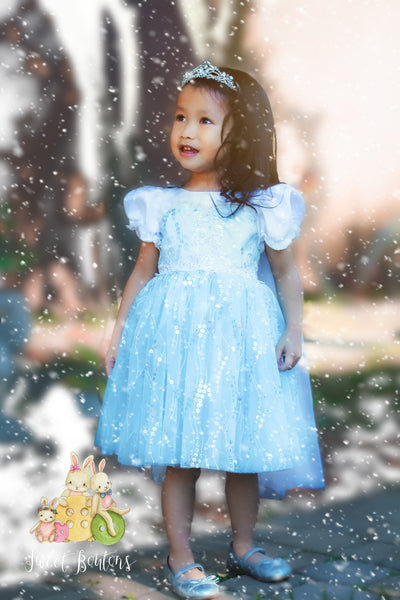 Snow Princess Dress