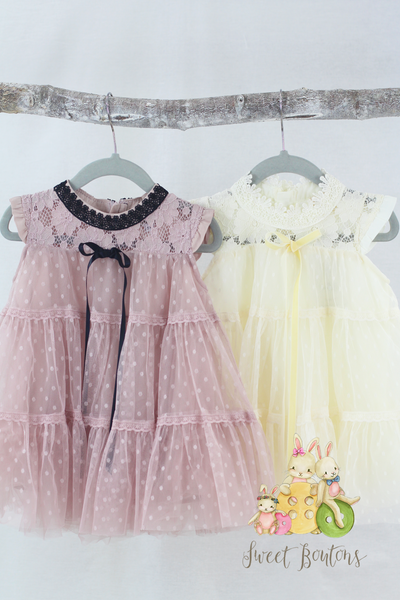 Abella Lace and tulle dress